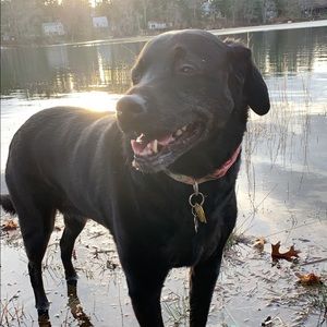 Meet your Posher, Jamie